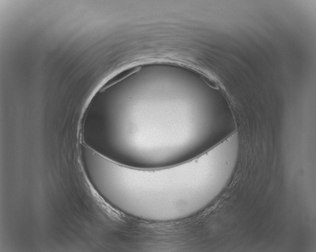 X0000060231524200510280924
