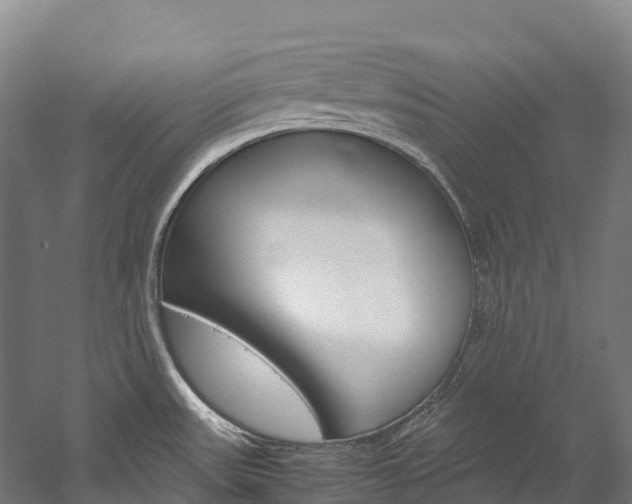 X0000060231531200510280924
