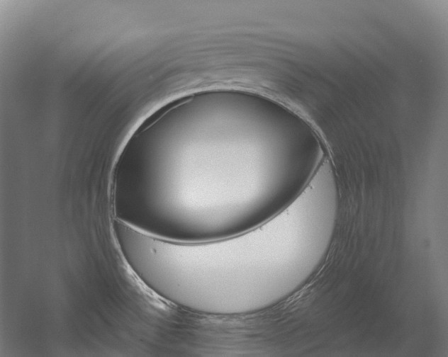 X0000060231532200510280924