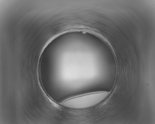 X0000060231533200510280924