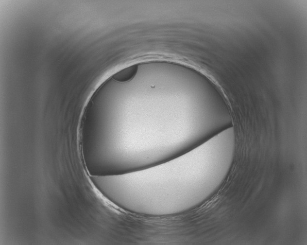 X0000060231535200510280924