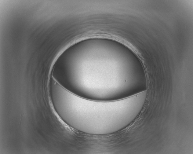 X0000060231536200510280925
