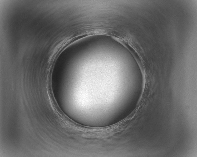 X0000060230001200510281147