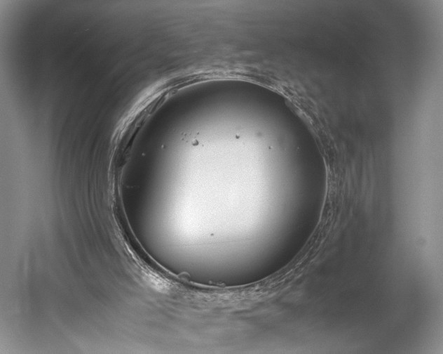 X0000060230005200510281147