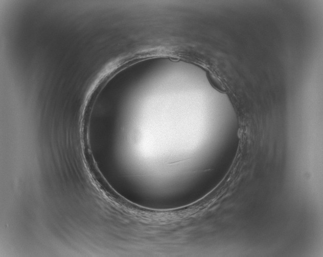 X0000060230006200510281147