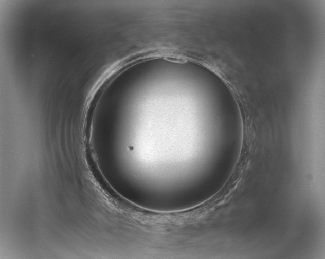 X0000060230007200510281147