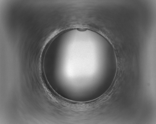 X0000060230008200510281147