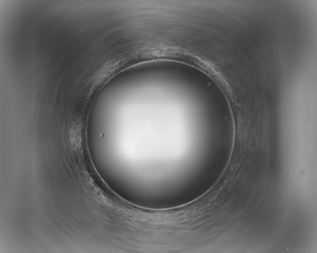 X0000060230010200510281147