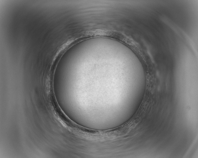 X0000060230012200510281147