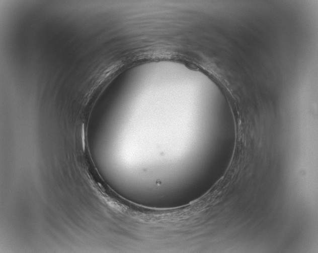 X0000060230013200510281147