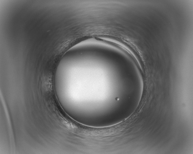 X0000060230017200510281146