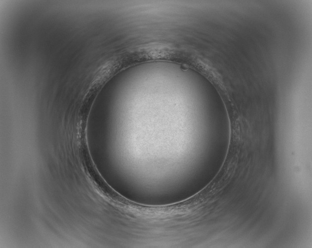 X0000060230018200510281146