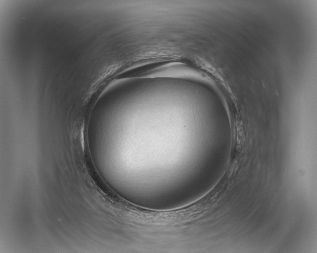 X0000060230019200510281146