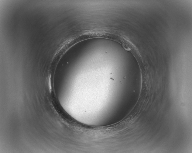 X0000060230020200510281146