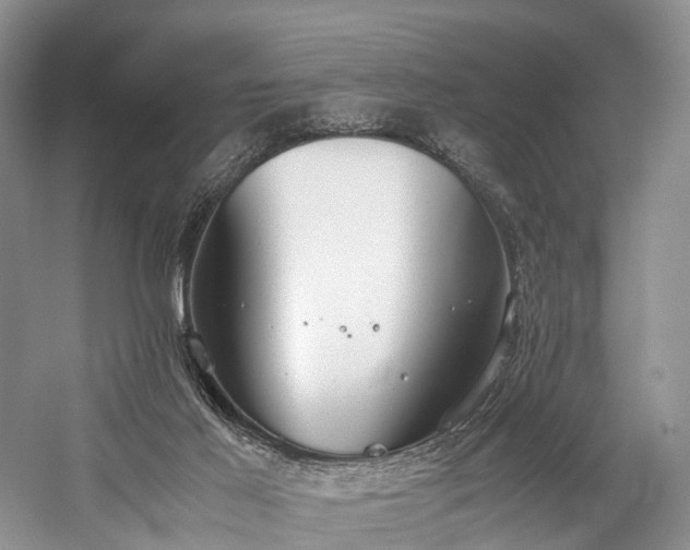 X0000060230021200510281146