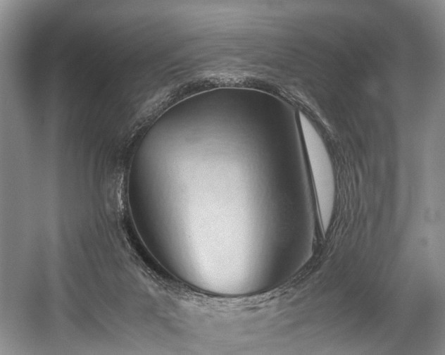 X0000060230023200510281146