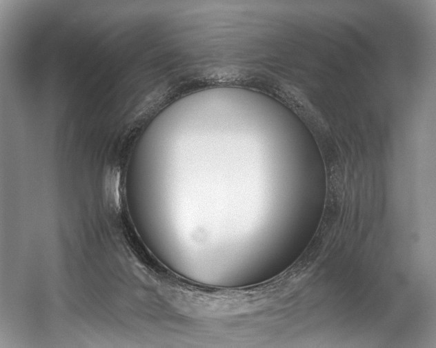 X0000060230024200510281146