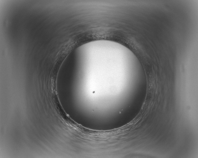 X0000060230025200510281146