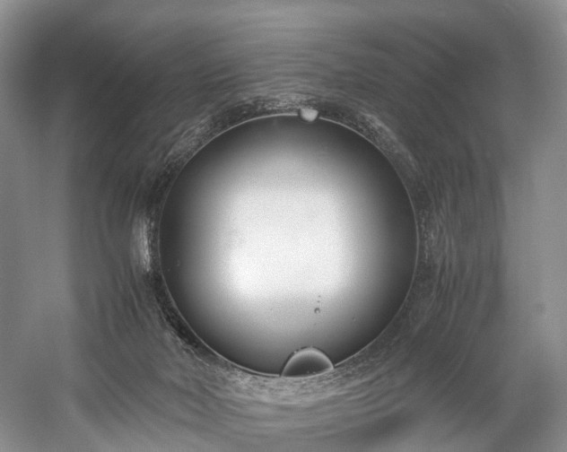 X0000060230026200510281146