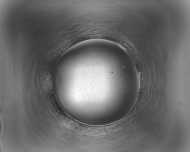 X0000060230029200510281146