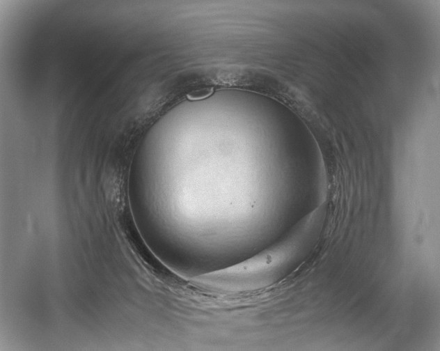 X0000060230031200510281146