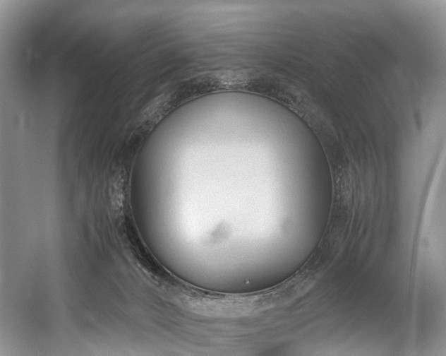 X0000060230032200510281146