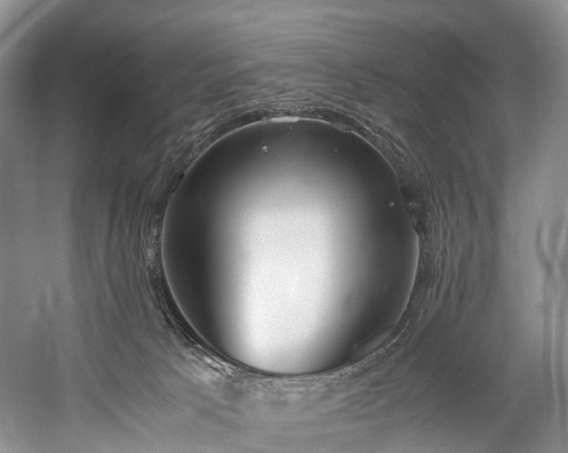 X0000060230033200510281146