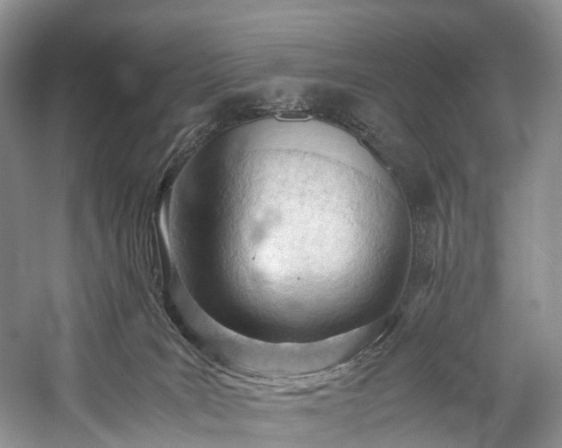 X0000060230035200510281146