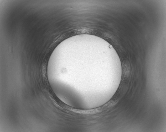 X0000060230036200510281146