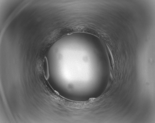 X0000060230037200510281146