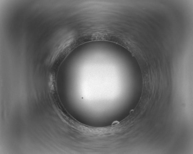 X0000060230038200510281146