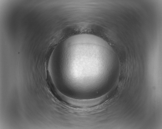 X0000060230039200510281146