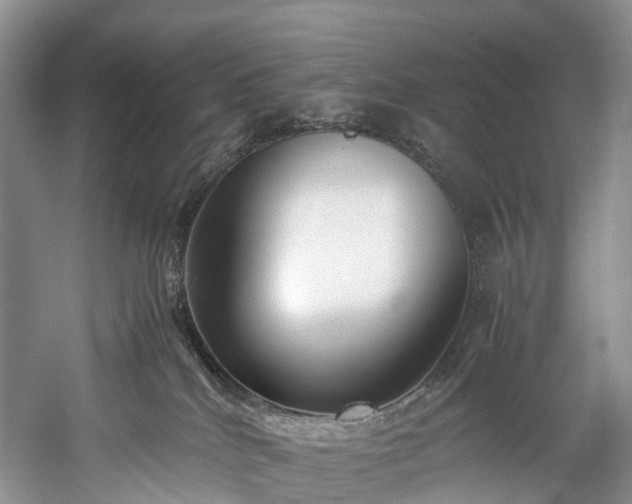 X0000060230040200510281146