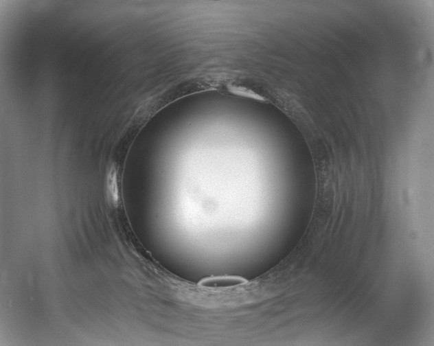 X0000060230042200510281146