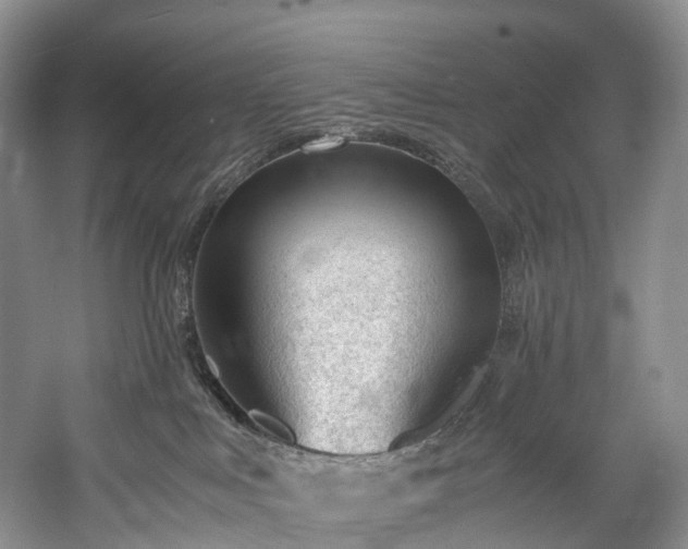 X0000060230043200510281146