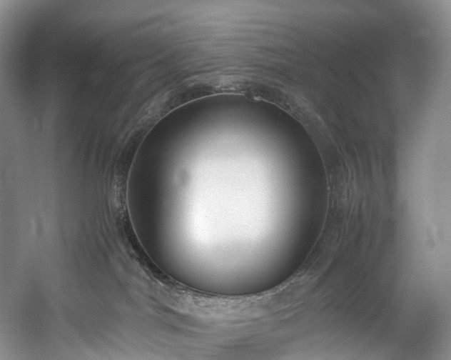 X0000060230044200510281146