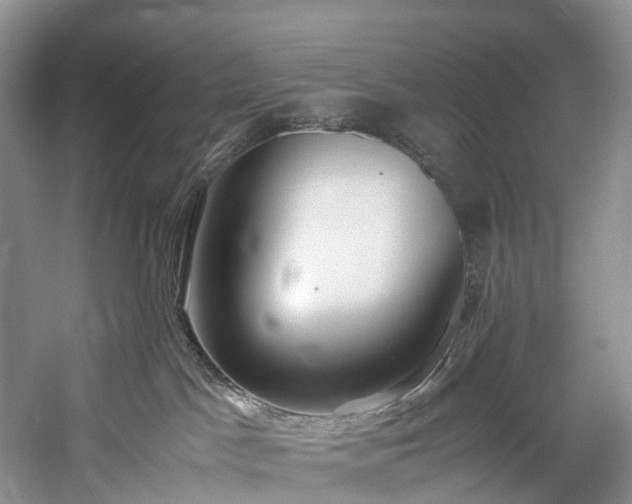 X0000060230045200510281146