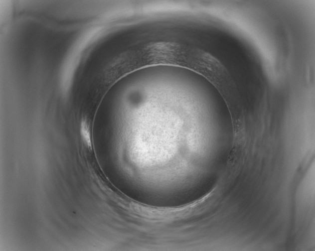 X0000060230047200510281146