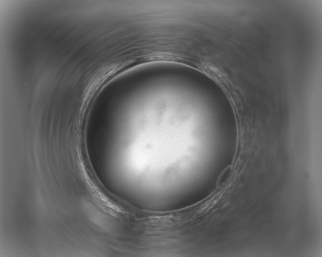 X0000060230049200510281145