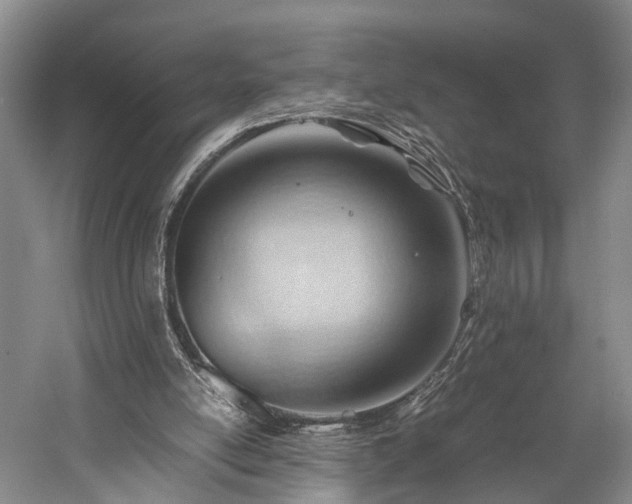 X0000060230054200510281145