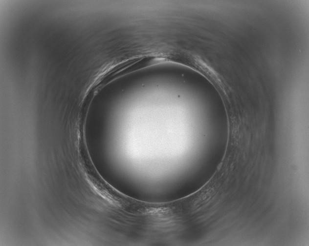 X0000060230059200510281145