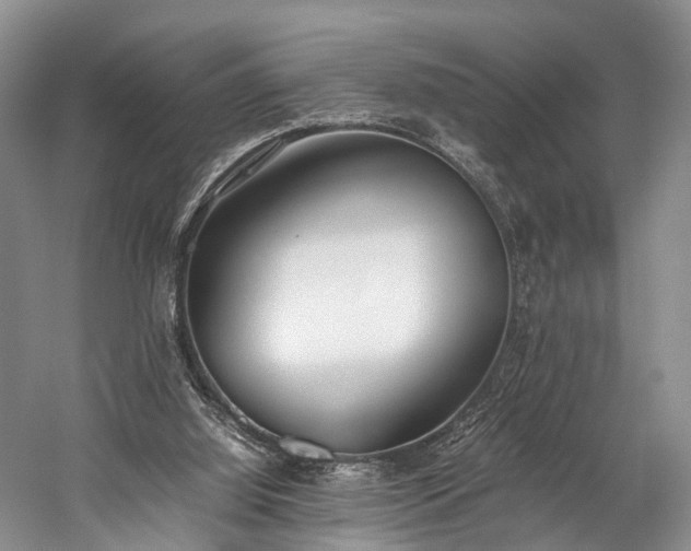 X0000060230060200510281145