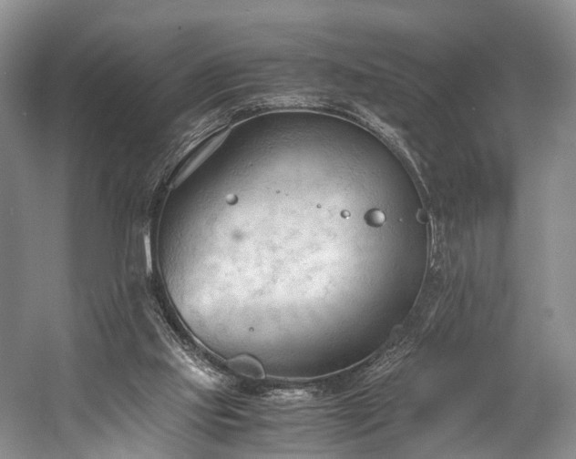 X0000060230061200510281145