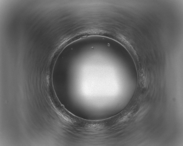 X0000060230063200510281145