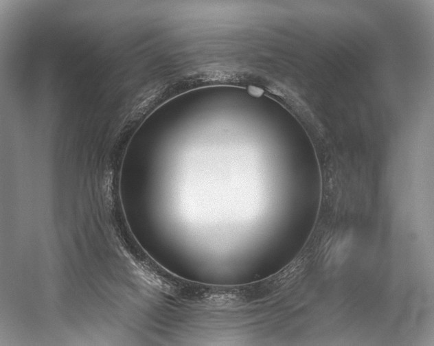 X0000060230066200510281145