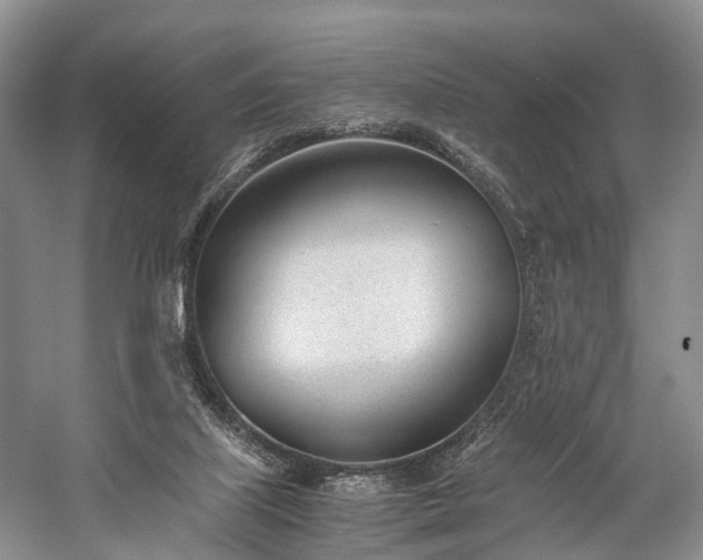 X0000060230067200510281145