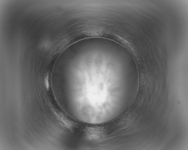 X0000060230069200510281145