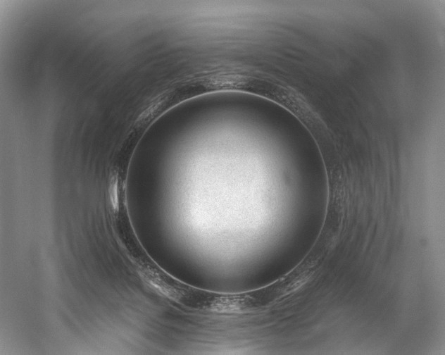 X0000060230076200510281146