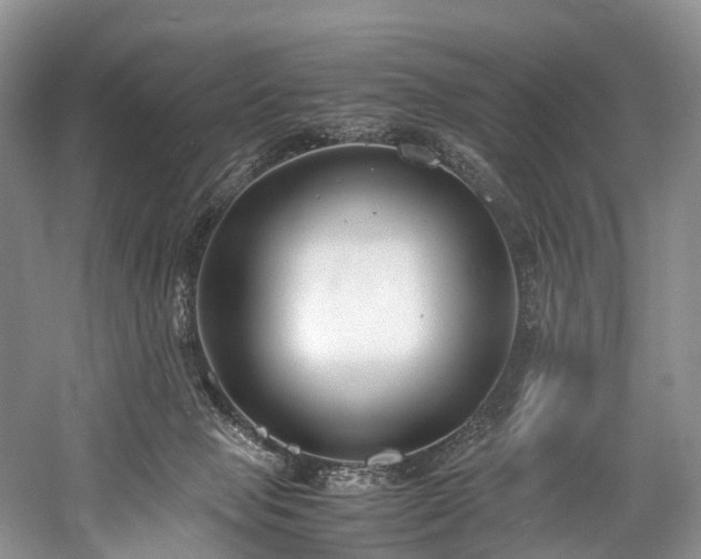 X0000060230077200510281146