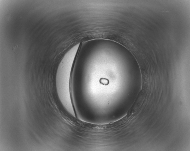 X0000060230080200510281146